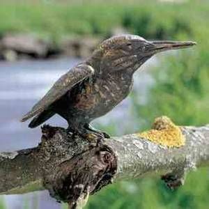 Rottenecker Bronzefigur Eisvogel